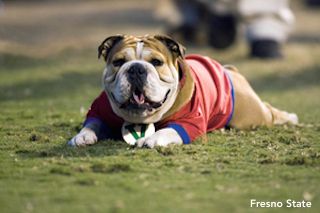 Fresno State Bulldogs Mascot
